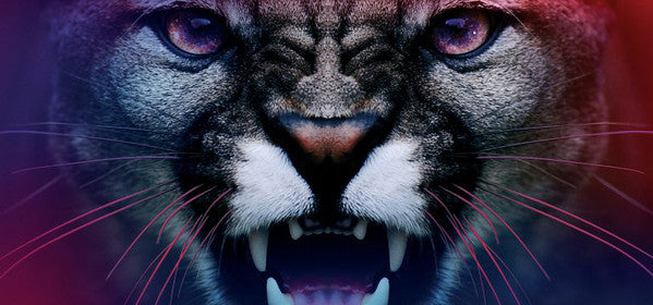 Cliff Martinez – The Neon Demon (Blue & Green Trans)