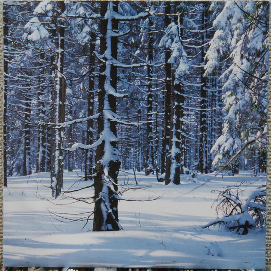 Goldfrapp – Felt Mountain (White Reissue)