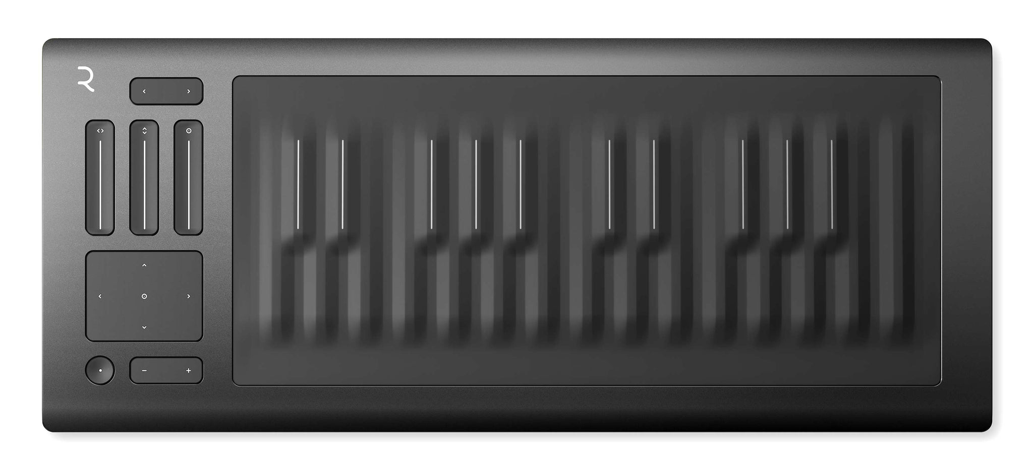 Seaboard RISE 25