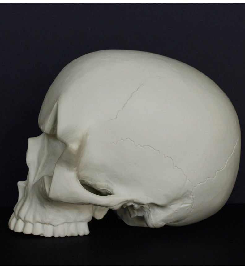 Star Skull By Ron English